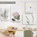 Protea Blooms Leaflets Minimalist Modern 4 Piece Framed Art Set Floral Stretched Canvas Print Photograph for Room Arrangement