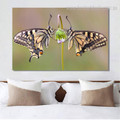 Swallowtail Floral Animal Framed Modern Canvas Artwork Picture Print for Bedroom Wall Adornment