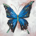 Pipevine Swallowtail Animal Abstract Modern Framed Painting Picture Canvas Print