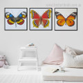 Polygonia and Viceroy Abstract Animal Modern Framed Smudge Photo Canvas Print for Room Wall Getup