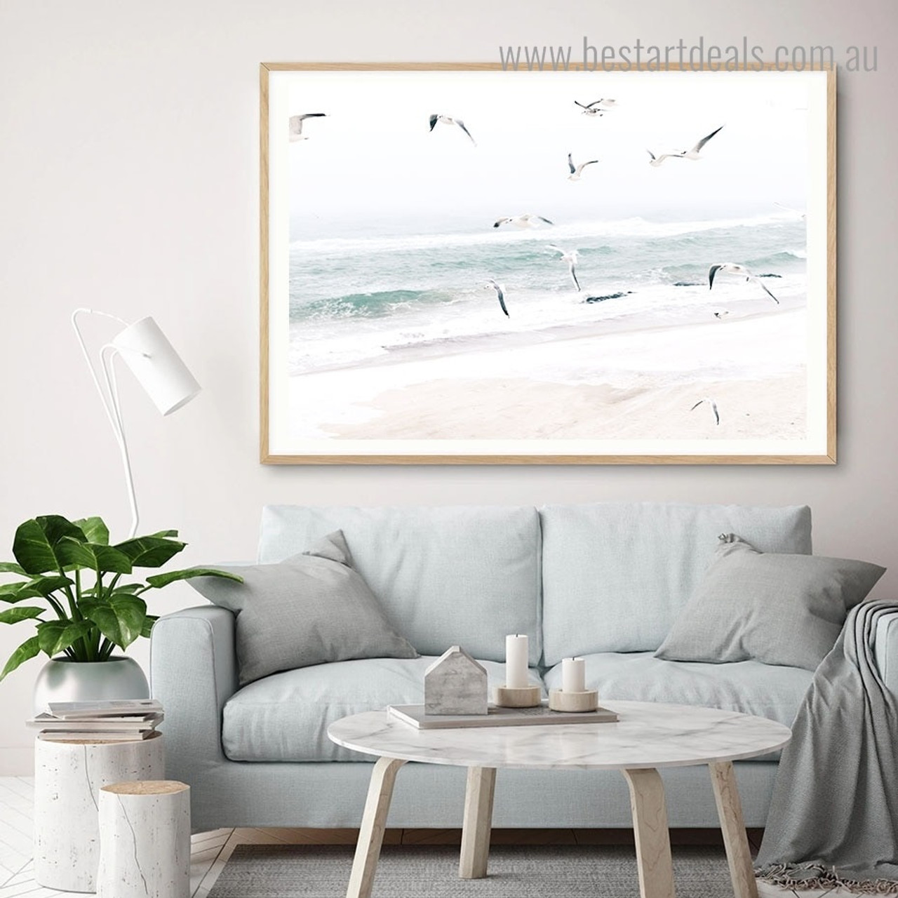 Coastal Seagulls Bestartdeals Com Au