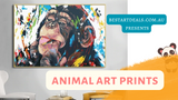 Animal Art Prints Video