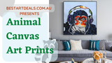 Animal Canvas Art Prints Video