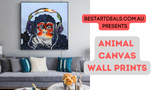 Animal Canvas Prints Video