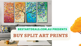 Buy Split Canvas Prints Video