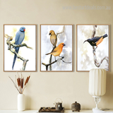 Get Modern Bird Art Prints Online