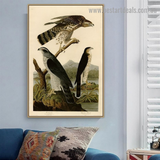 5 Bird Art Prints That Bring Joy to Any Space