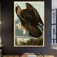John James Audubon Prints