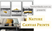 Nature Canvas Prints Video