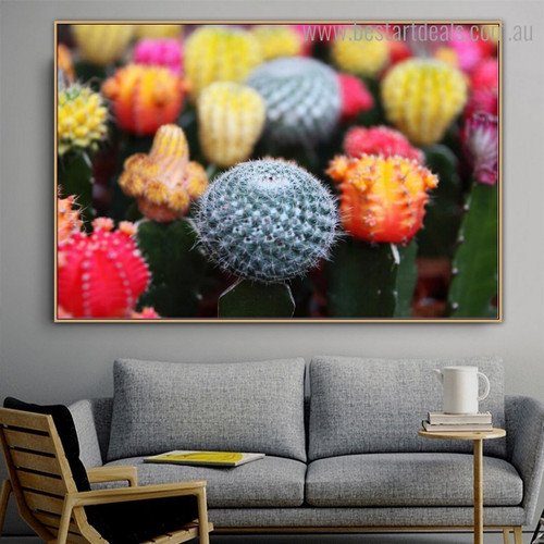 Cactus Blooms Botanical Modern Framed Artwork Pic Canvas Print for Room Wall Flourish