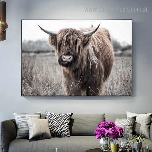 Highland Cow Grassland Animal Modern Framed Artwork Image Canvas Print for Room Wall Disposition