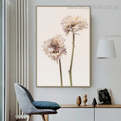 Scabiosa Florets Abstract Floral Modern Framed Artwork Image Canvas Print for Room Wall Outfit