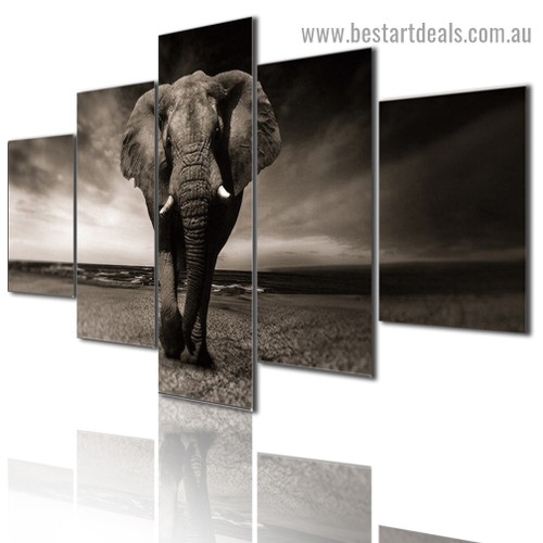 Walking Wandering Elephant Animal Modern Artwork Photo Canvas Print for Room Wall Adornment