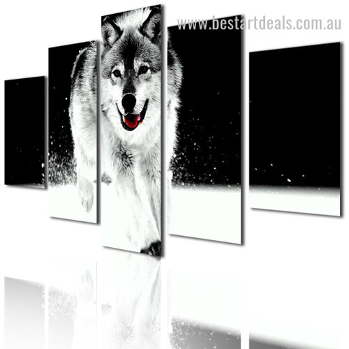 Grey Wolf Animal Landscape Modern Framed Effigy Pic Canvas Print