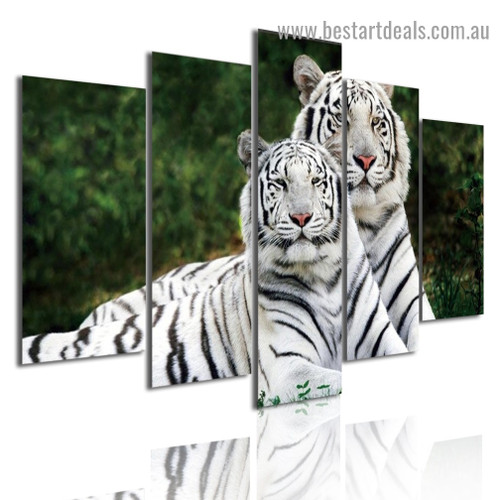 White Tigers Animal Botanical Modern Artwork Image Canvas Print for Room Wall Decoration