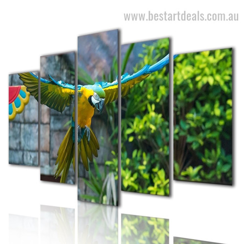 Psittacines Bird Modern Framed Portraiture Image Canvas Print