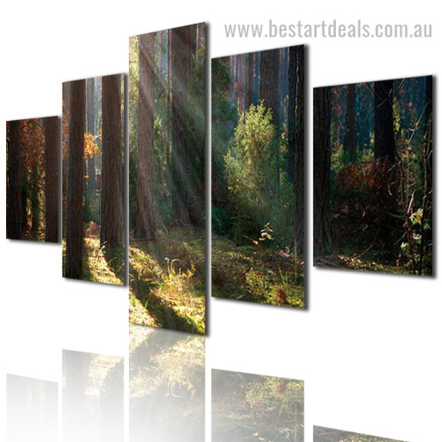 Tall Pine Trees Botanical Modern Framed Effigy Image Canvas Print