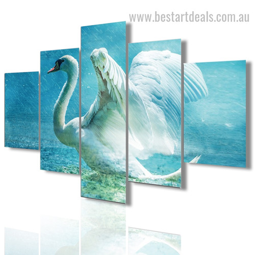 Swan Bird Modern Framed Portraiture Pic Canvas Print