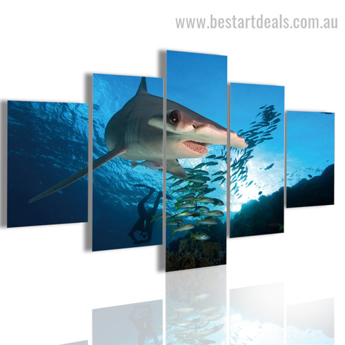Hammerhead Shark Seascape Animal Modern Framed Painting Pic Canvas Print