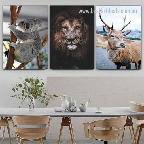 Real Reindeer Art Koala Framed Stretched Nursery 3 Panel Modern Wall Photograph Animal Canvas Print for Room Molding