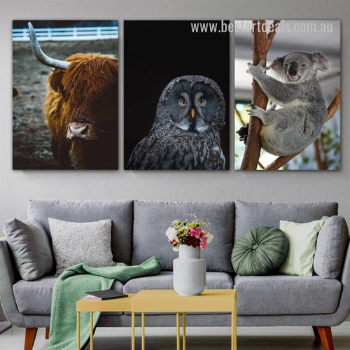 Cute Koala Bear Modern Framed Stretched Animal Painting Photograph 3 Piece Nursery Canvas Print for Room Wall Outfit