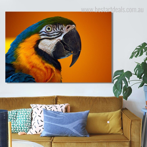 Macaw Bird Framed Modern Painting Image Canvas Print for Room Wall Garnish