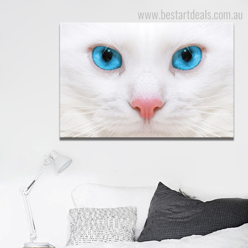 White Moggy Animal Contemporary Framed Painting Photo Canvas Print for Room Wall Decoration