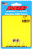 ARP 1/4-20 SS 12pt nut kit - 401-8320 Photo - Primary