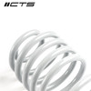 CTS Turbo B8/B8.5 Audi A4/S4 Lowering Spring Set - CTS-LS-012