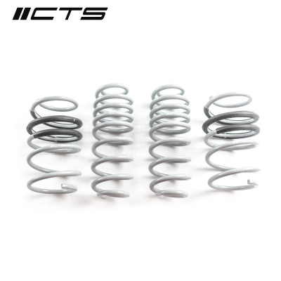 CTS Turbo B9/9.5 Audi SQ5 Lowering Springs