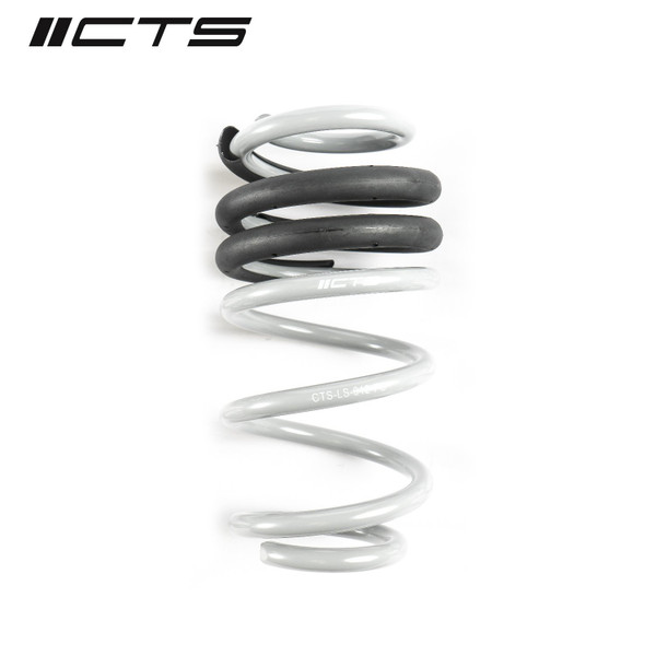 CTS Turbo B8/B8.5 Audi A4/S4 Lowering Spring Set - CTS-LS-012