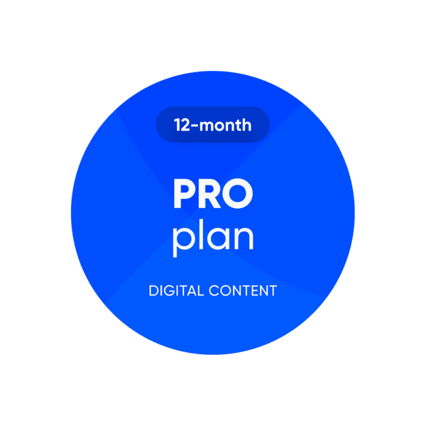 PRO plan (12-month)