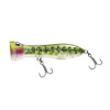 Chug Norris 50 Popper 50mm Lure