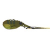 TT SWITCHPRAWN +  44mm (8g) Lure