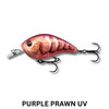 13 FISHING Jabber Jaw 60 Lure
