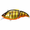 Mega Bass Vibration X Vitalion (SS) Lure