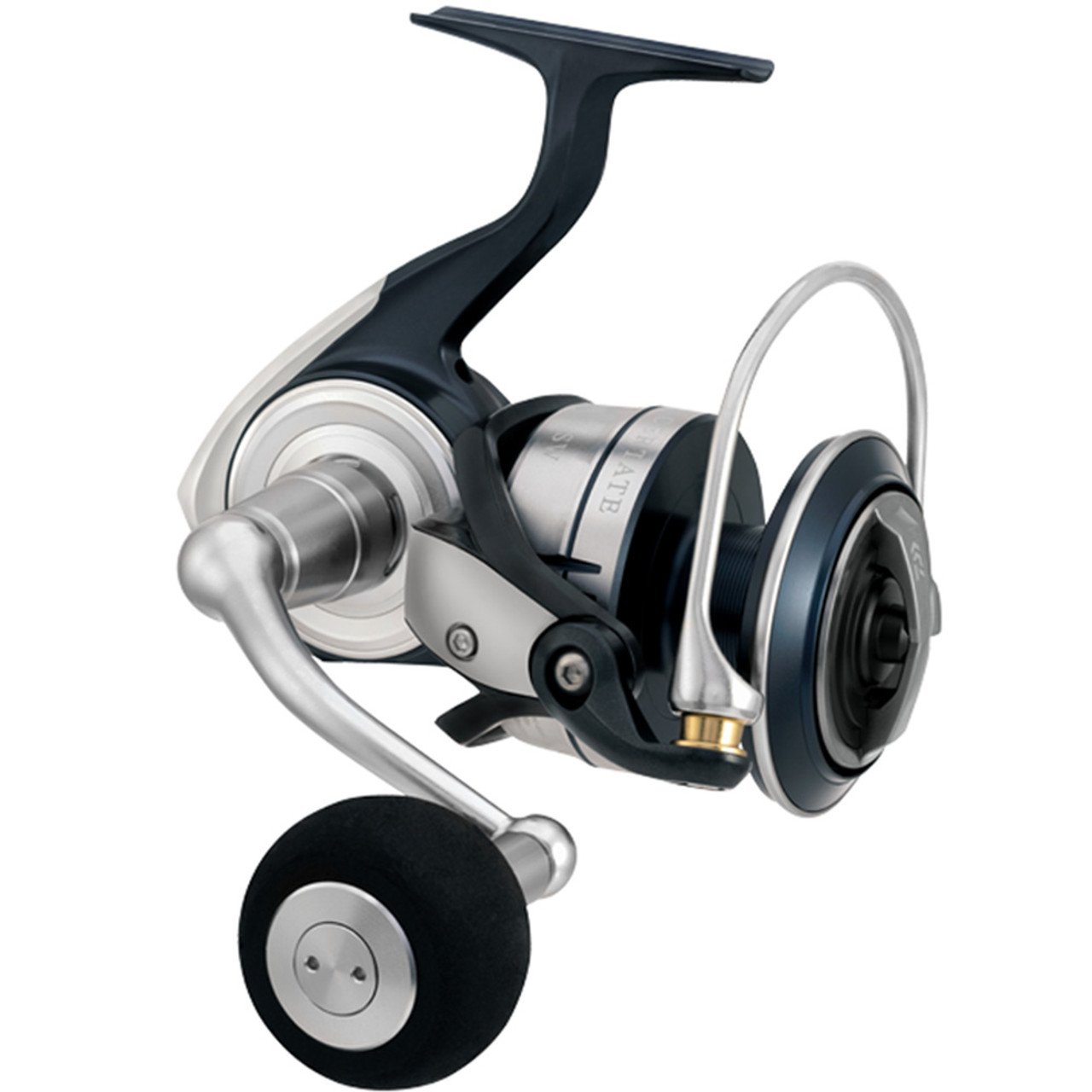 Daiwa 21 CERTATE SW Fishing Reel - McCredden's