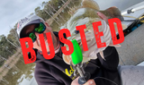 ​Murray Cod Season: Busted Hits n Near Myths.....