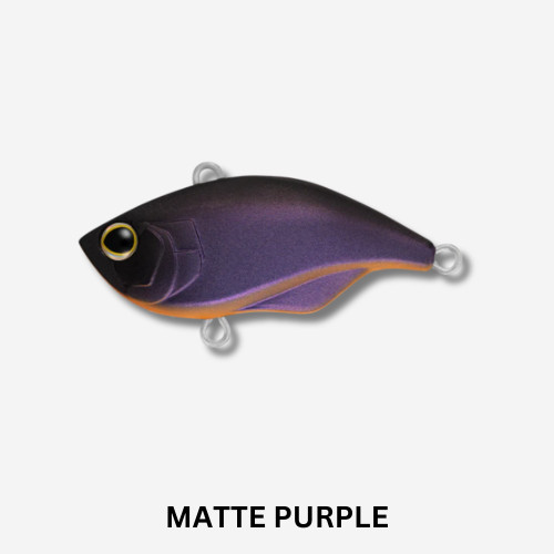 DAIWA Infeet Reflex 38S Lure