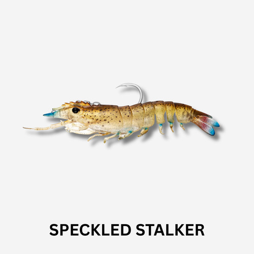 Nomad Live Ops Sumo Shrimp Pre Rigged 4" Lure