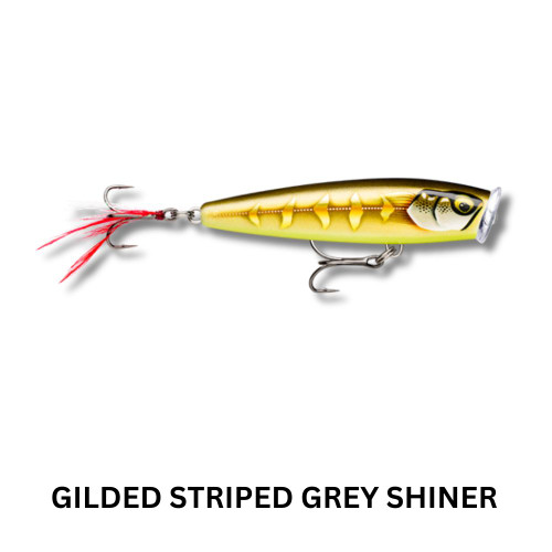 Rapala Skitter Pop Elite 95 Lure