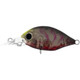 DAIWA INFEET ROLLIN' CRANK 32MR LURE