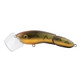 Codger Topwater Lure