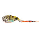 TT SWITCHPRAWN +  37mm (5.5g) Lure