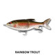 13 Fishing Glidesdale rainbow trout