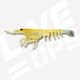 Nomad Live Ops Switcher Shrimp 5" Soft Plastic Lure