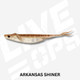 Nomad Live Ops Cobra Shad 3.75" Soft Plastic Lure