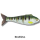 Bucca Weedless Baby Bull Shad 4.5" Lure
