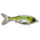 Bucca 6" Trick Shad Lure