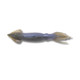 Berkley Gulp Squid 3" Soft Plastic Bait